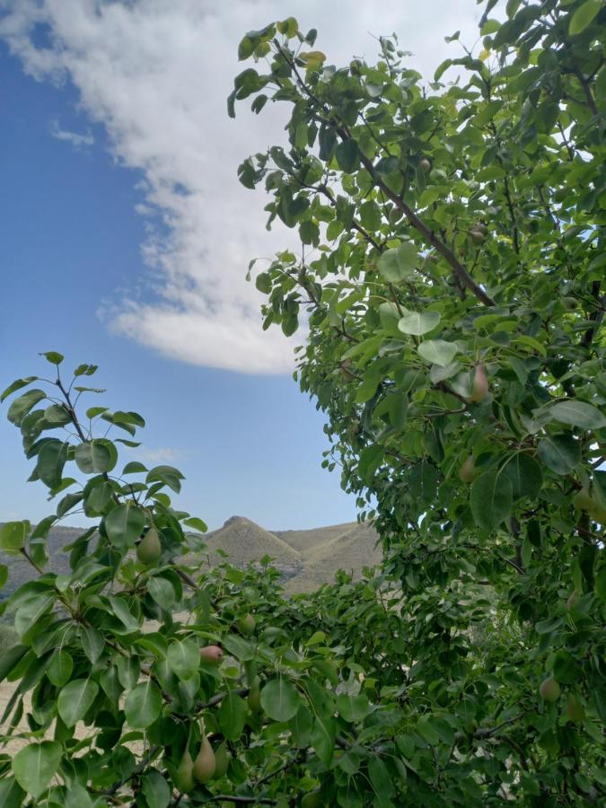 Villa Meriem Noto Eksteriør bilde